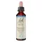 BACHBLÜTEN Bukove kapljice, 20 ml