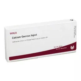 CALCIUM QUERCUS Ampule za injiciranje, 10X1 ml