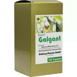 GALGANT KAPSULE, 120 kos