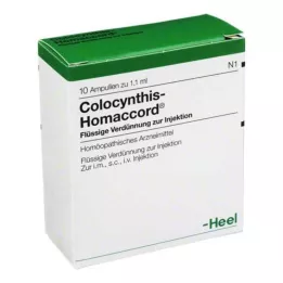 COLOCYNTHIS HOMACCORD Ampule, 10 kos
