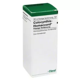 COLOCYNTHIS HOMACCORD Kapljice, 30 ml