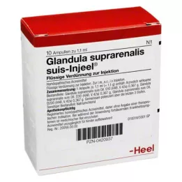 GLANDULA SUPRARENALIS suis Injeel ampule, 10 kos