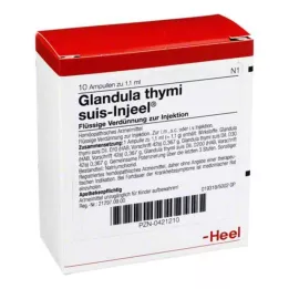 GLANDULA THYMI suis Injeel ampule, 10 kos