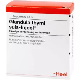 GLANDULA THYMI suis Injeel ampule, 100 kos