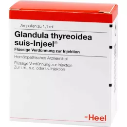 GLANDULA THYREOIDEA suis Injeel ampule, 100 kos