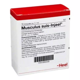 MUSCULUS SUIS Injeel ampule, 10 kos