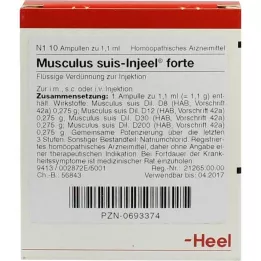 MUSCULUS SUIS Injeel forte ampule, 10 kos