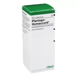 PLANTAGO HOMACCORD Kapljice, 30 ml