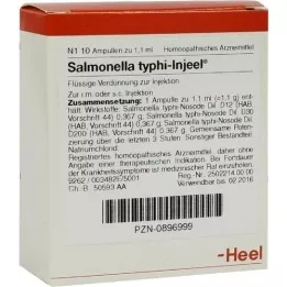 SALMONELLA TYPHI Injeel ampule, 10 kos