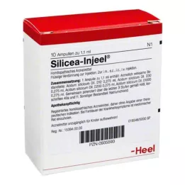 SILICEA INJEEL Ampule, 10 kos