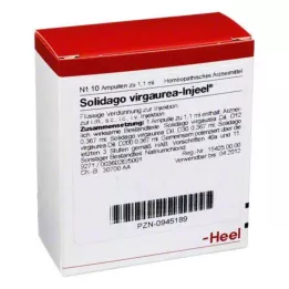 SOLIDAGO VIRGAUREA INJEEL Ampule, 10 kos