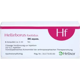 HELLEBORUS FOETIDUS aquos. D 6 ampul, 8X1 ml