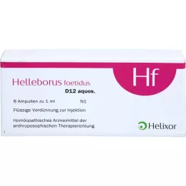 HELLEBORUS FOETIDUS aquos. D 12 ampul, 8X1 ml