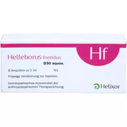 HELLEBORUS FOETIDUS aquos. D 30 ampul, 8X1 ml