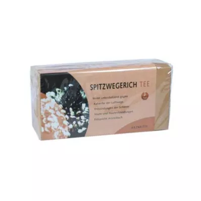 SPITZWEGERICHTEE Filter vrečke, 25 kom