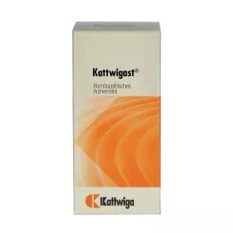 KATTWIGAST Tablete, 100 kom