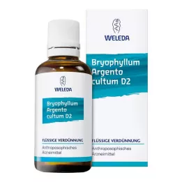 BRYOPHYLLUM ARGENTO kultura D 3 razredčitev, 50 ml