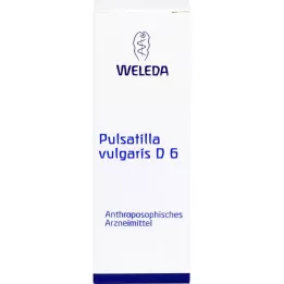 PULSATILLA VULGARIS D 6 Razredčitev, 50 ml