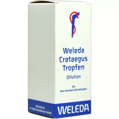 CRATAEGUS KAPLJICE, 100 ml