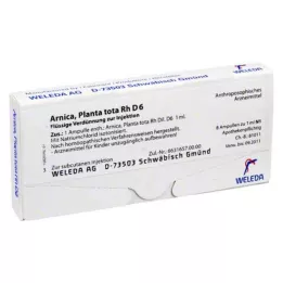 ARNICA PLANTA skupaj Rh D 6 ampul, 8X1 ml