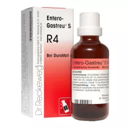 ENTERO-GASTREU Mešanica S R4, 22 ml