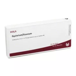 EQUISETUM/STANNUM Ampule, 10X1 ml