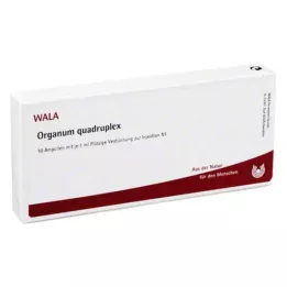 ORGANUM quadruplex ampule, 10X1 ml