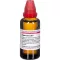 HYPERICUM EXTERN Izvleček, 50 ml