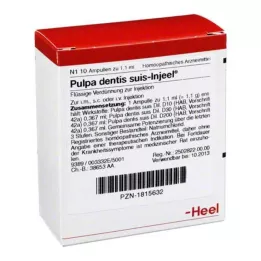 PULPA DENTIS SUIS Injeel ampule, 10 kos