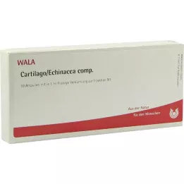 CARTILAGO/Echinacea comp.ampull, 10x1 ml