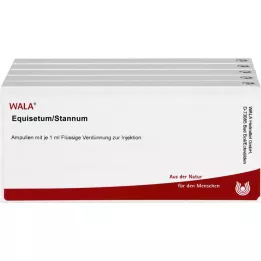 EQUISETUM/STANNUM Ampule, 50X1 ml