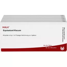 EQUISETUM/VISCUM Ampule, 50X1 ml