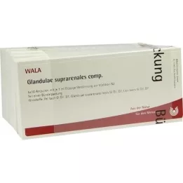 GLANDULAE SUPRARENALES komp.ampule, 50X1 ml