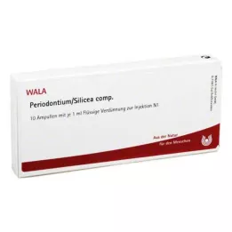 PERIODONTIUM/SILICEA komp., 10X1 ml