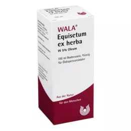 EQUISETUM EX Herba W 5 % oleum, 100 ml