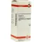 CONIUM D 4 razredčitev, 50 ml