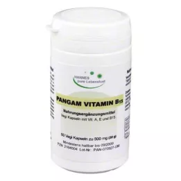 PANGAM Vitamin B15 kapsule, 60 kos