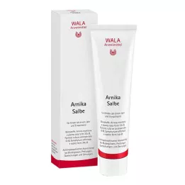 ARNIKA MAZILO, 100 g