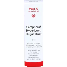 CAMPHORA/HYPERICUM Mazilo, 30 g