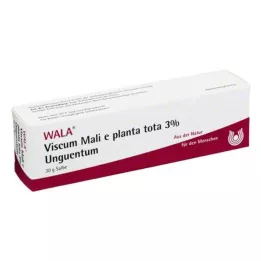 VISCUM MALI e planta tata 3% mazilo, 30 g
