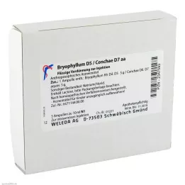 BRYOPHYLLUM D 5/Conchae D 7 ampul, 5X10 ml