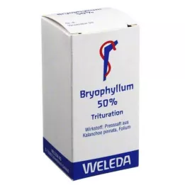BRYOPHYLLUM 50 % prašek za peroralno uporabo, 20 g