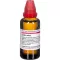 LEDUM EXTERN Tinktura, 50 ml
