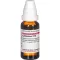 LYCOPODIUM D 10 Razredčitev, 20 ml