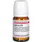 AGARICUS D 30 tablet, 80 kos