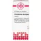 PHOSPHORUS AMORPHUS D 8 tablet, 80 kos