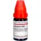 GRAPHITES LM VI Razredčitev, 10 ml