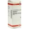 HAMAMELIS D 2 Razredčitev, 50 ml