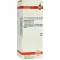 HYPERICUM D 6 Razredčitev, 50 ml