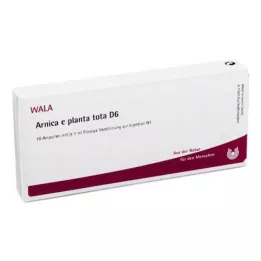 ARNICA E Planta tota D 6 ampul, 10X1 ml